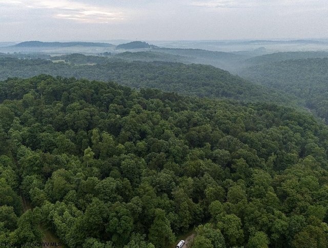 LOT130 Laurel Loop, Bruceton Mills, WV 26525