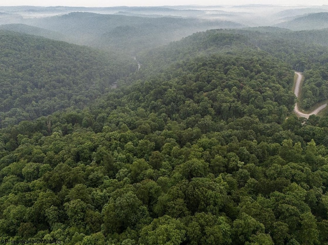 LOT130 Laurel Loop, Bruceton Mills, WV 26525