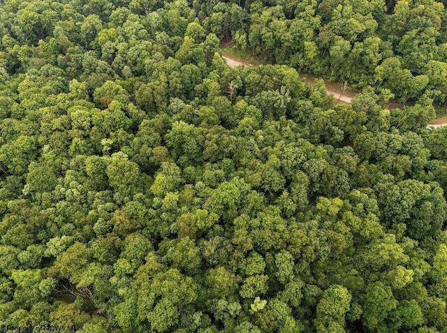 LOT130 Laurel Loop, Bruceton Mills, WV 26525