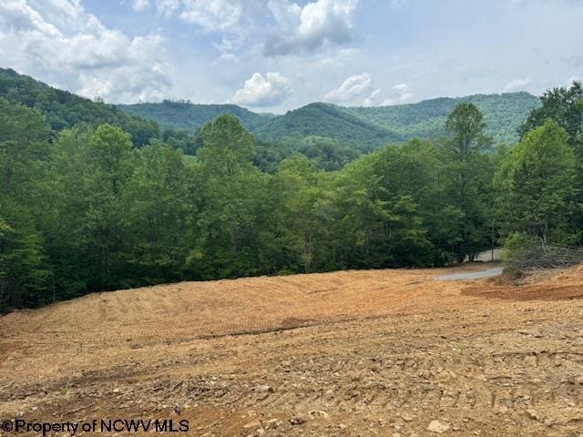 1511 Adolph Cassity Rd, Mabie, WV 26278