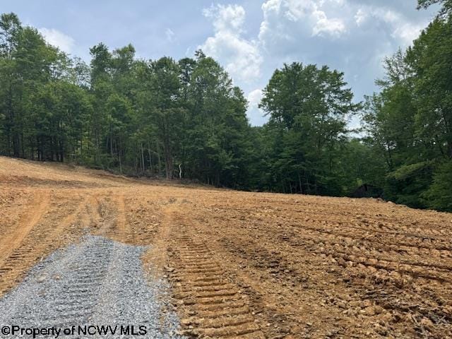 1511 Adolph Cassity Rd, Mabie, WV 26278