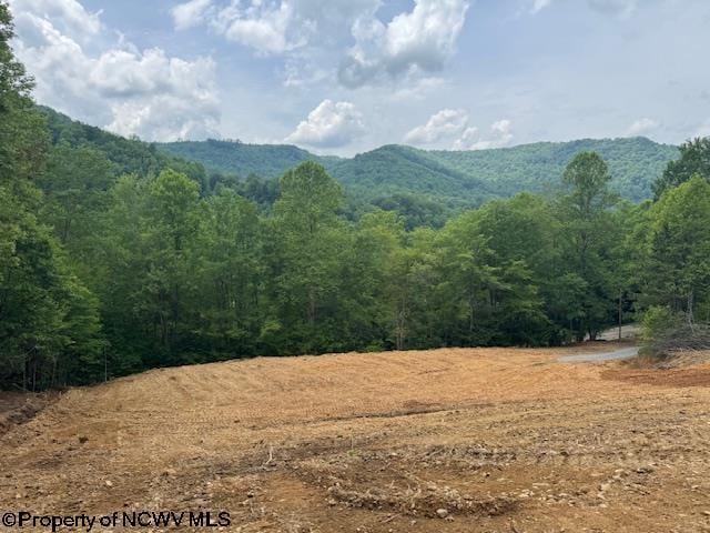 1511 Adolph Cassity Rd, Mabie, WV 26278