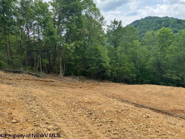 1511 Adolph Cassity Rd, Mabie, WV 26278