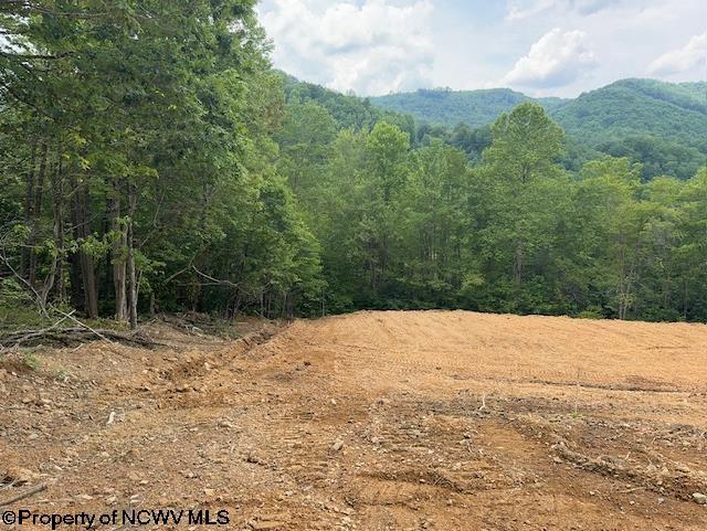 1511 Adolph Cassity Rd, Mabie, WV 26278