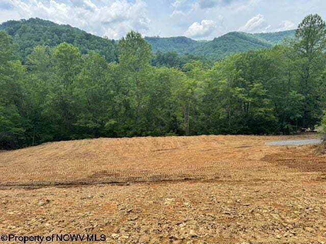 1511 Adolph Cassity Rd, Mabie, WV 26278