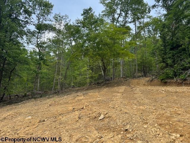 1511 Adolph Cassity Rd, Mabie, WV 26278