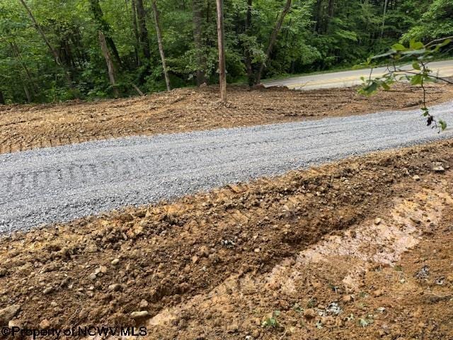 1511 Adolph Cassity Rd, Mabie, WV 26278