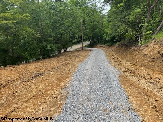 1511 Adolph Cassity Rd, Mabie, WV 26278