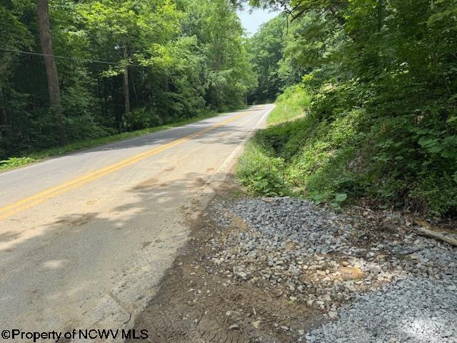 1511 Adolph Cassity Rd, Mabie, WV 26278