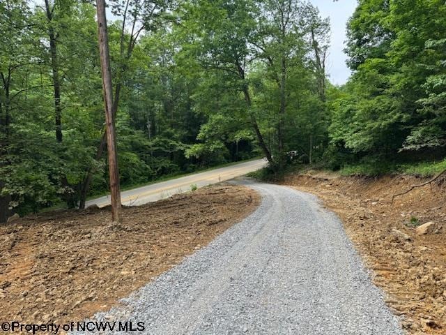 1511 Adolph Cassity Rd, Mabie, WV 26278