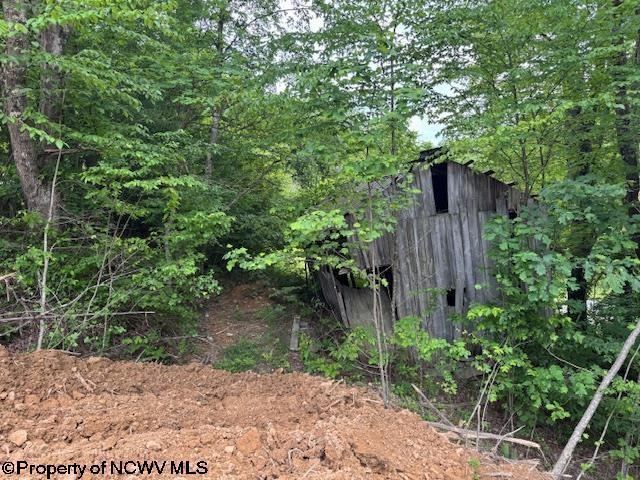 1511 Adolph Cassity Rd, Mabie, WV 26278