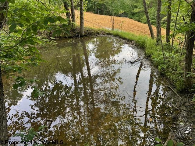 1511 Adolph Cassity Rd, Mabie, WV 26278