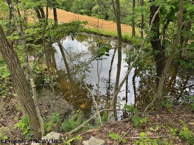 1511 Adolph Cassity Rd, Mabie, WV 26278