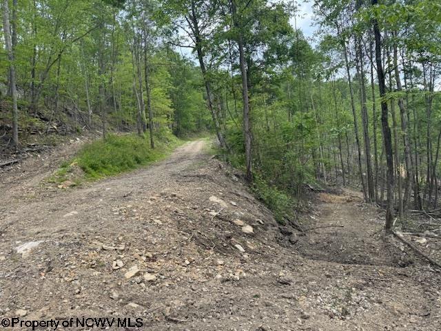 1511 Adolph Cassity Rd, Mabie, WV 26278