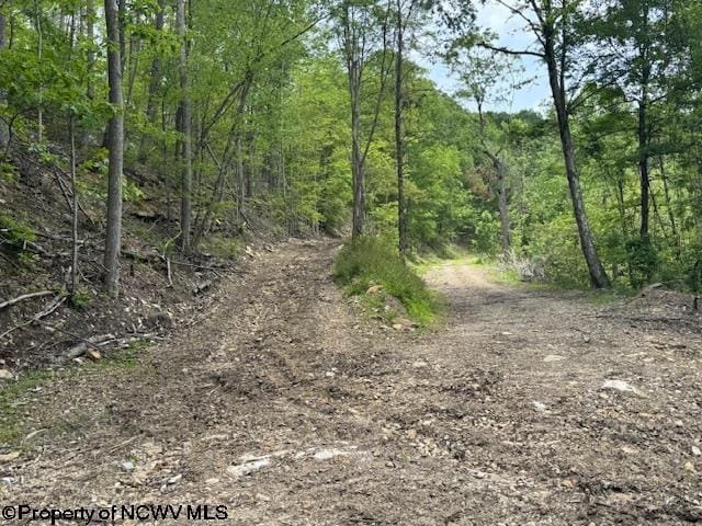1511 Adolph Cassity Rd, Mabie, WV 26278
