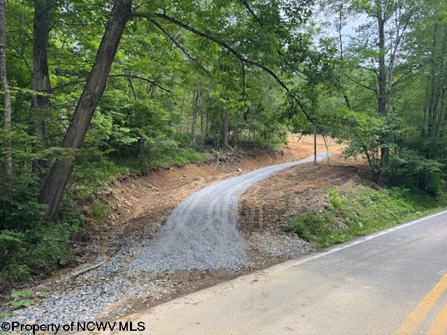 1511 Adolph Cassity Rd, Mabie, WV 26278