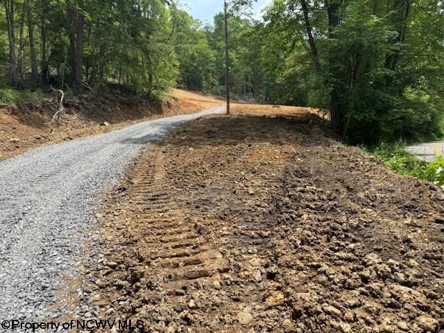 1511 Adolph Cassity Rd, Mabie, WV 26278