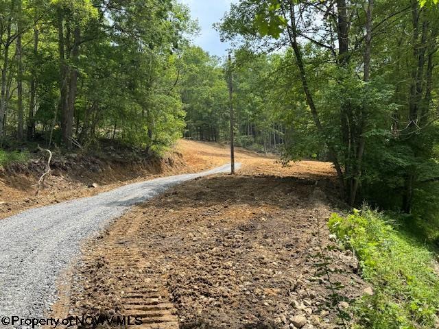 1511 Adolph Cassity Rd, Mabie, WV 26278