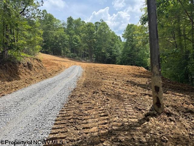 1511 Adolph Cassity Rd, Mabie, WV 26278