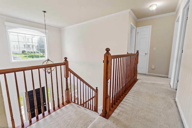 453 Blackberry Ridge Dr, Morgantown, WV 26508 - hall featuring an upstairs landing, crown molding, and carpet flooring