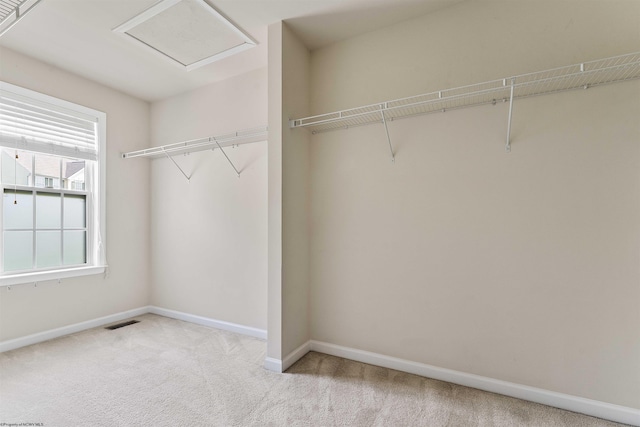 453 Blackberry Ridge Dr, Morgantown, WV 26508 - spacious closet featuring carpet floors and attic access