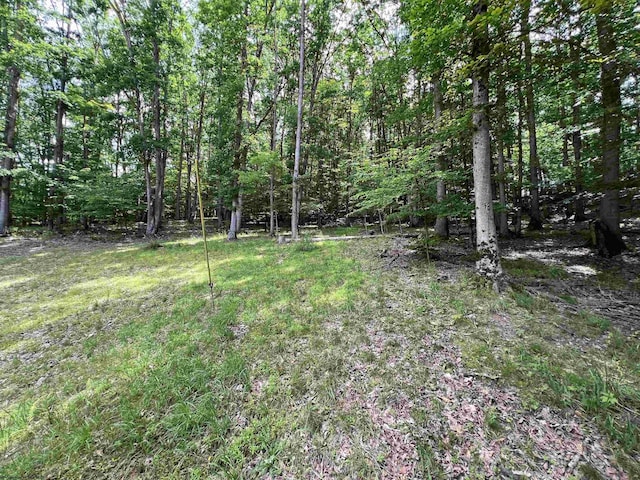 60 Saras Way, Beverly, WV 26253 - view of yard with a forest view