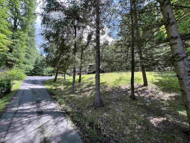 60 Saras Way, Beverly, WV 26253 - view of street featuring a wooded view