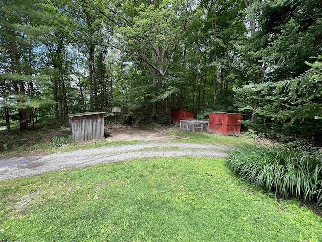 60 Saras Way, Beverly, WV 26253 - view of green lawn