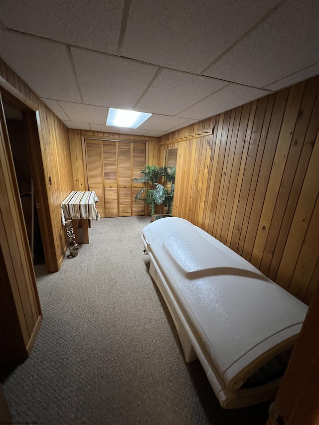 60 Saras Way, Beverly, WV 26253 - carpeted bedroom featuring wooden walls and a paneled ceiling
