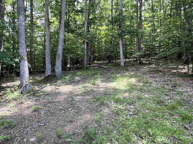 60 Saras Way, Beverly, WV 26253 - view of woods