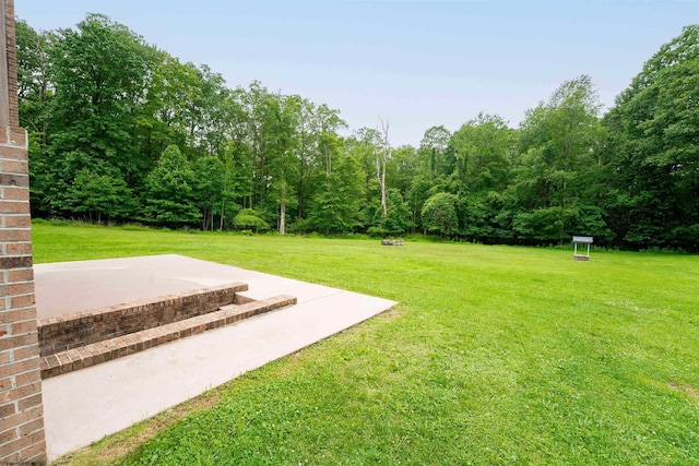 2228 Dinnerbell Five Forks Rd, Farmington, PA 15437 - view of green lawn