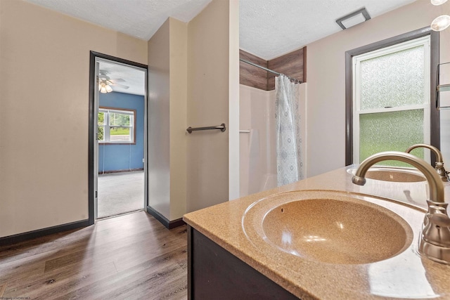 2228 Dinnerbell Five Forks Rd, Farmington, PA 15437 - bathroom with wood finished floors, vanity, a textured ceiling, and curtained shower