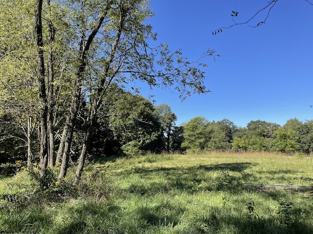 2214 Fairview Rd, Independence, WV 26374 - view of local wilderness
