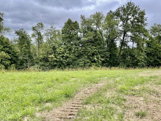 2214 Fairview Rd, Independence, WV 26374 - view of undeveloped land