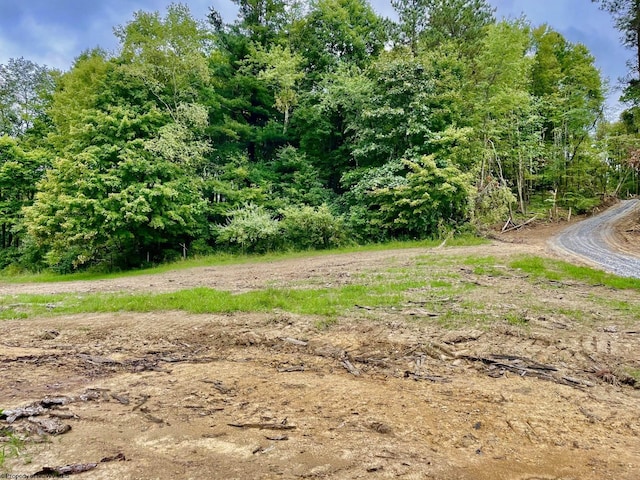 2214 Fairview Rd, Independence, WV 26374 - view of undeveloped land