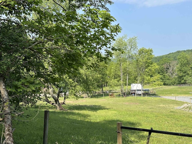 2214 Fairview Rd, Independence, WV 26374 - view of yard with a forest view