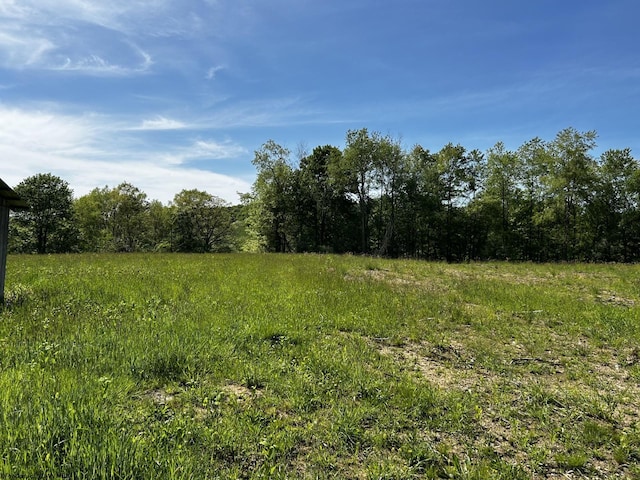 2214 Fairview Rd, Independence, WV 26374 - view of tree filled area