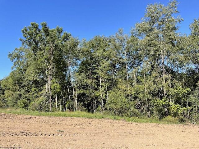 2214 Fairview Rd, Independence, WV 26374 - view of nature