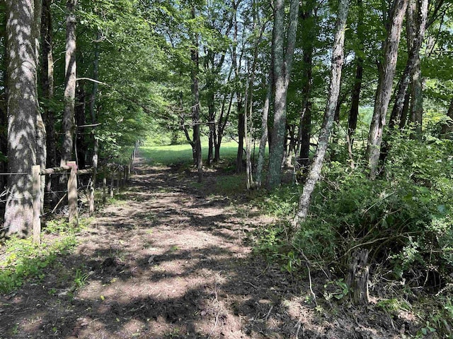 2214 Fairview Rd, Independence, WV 26374 - view of street with a forest view