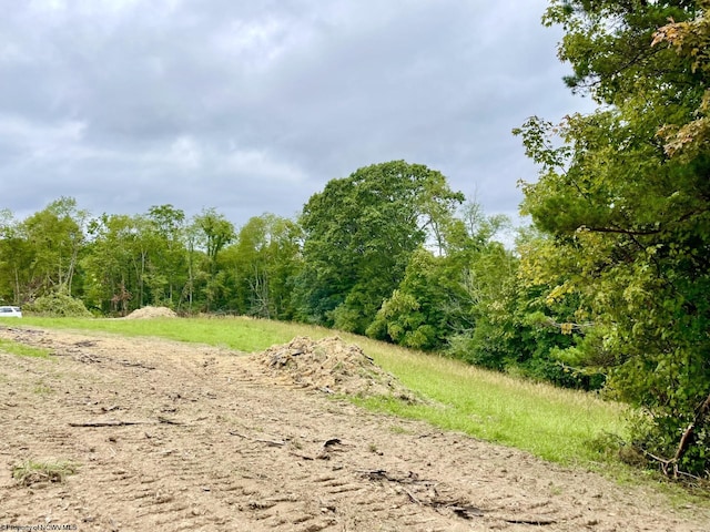 2214 Fairview Rd, Independence, WV 26374 - view of wooded area
