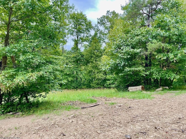 2214 Fairview Rd, Independence, WV 26374 - view of undeveloped land