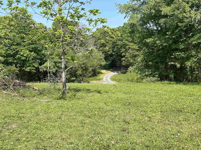 2214 Fairview Rd, Independence, WV 26374 - view of yard with a forest view