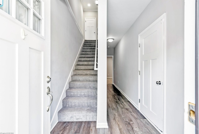 26 Misty Ln, Fairmont, WV 26554 - stairway featuring wood finished floors and baseboards