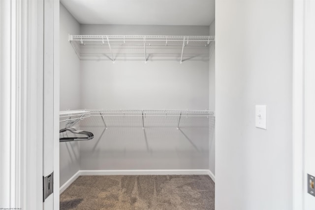26 Misty Ln, Fairmont, WV 26554 - walk in closet featuring carpet