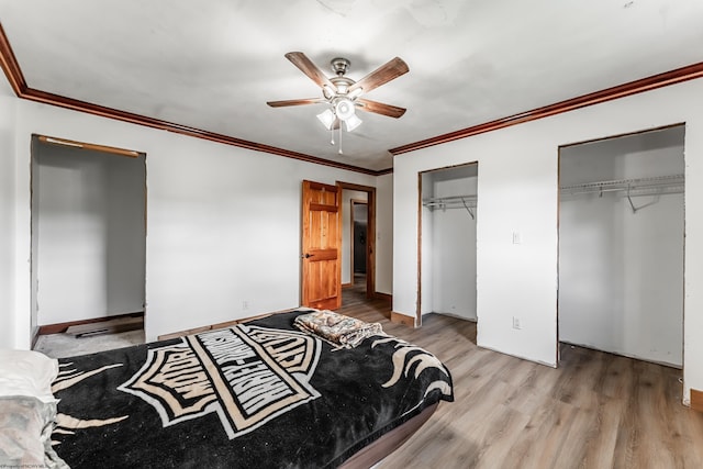 482 Buckeye Rd, Core, WV 26541 - bedroom with two closets, light wood-style flooring, crown molding, and ceiling fan