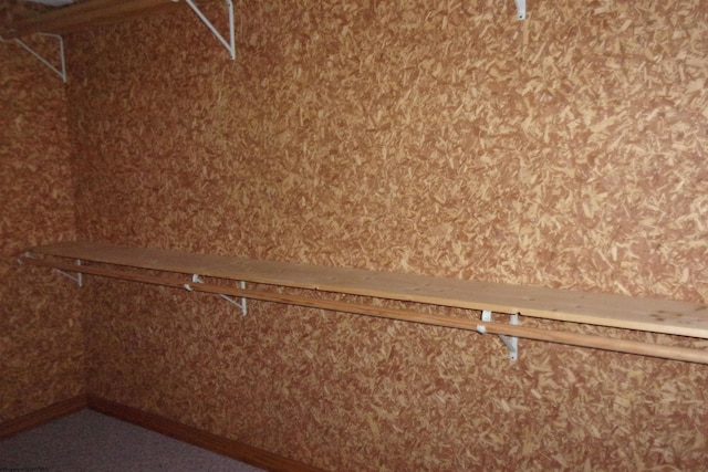 208 Parkview Cir, Kingwood, WV 26537 - view of walk in closet
