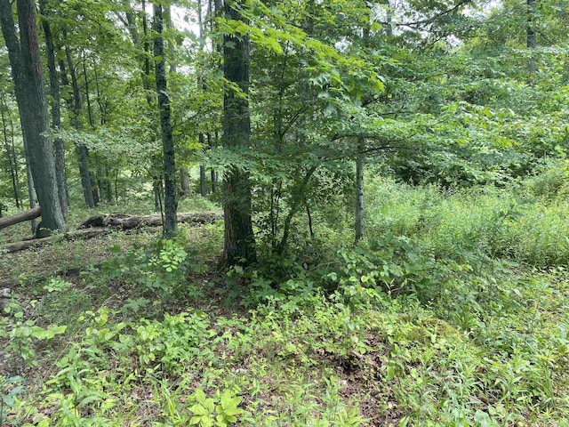 52 Ladder Dr, Mount Clare, WV 26408 - view of tree filled area