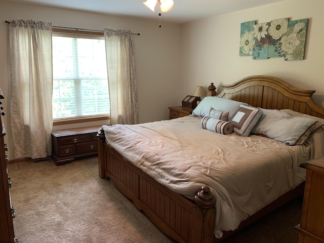 52 Ladder Dr, Mount Clare, WV 26408 - bedroom with multiple windows and light carpet