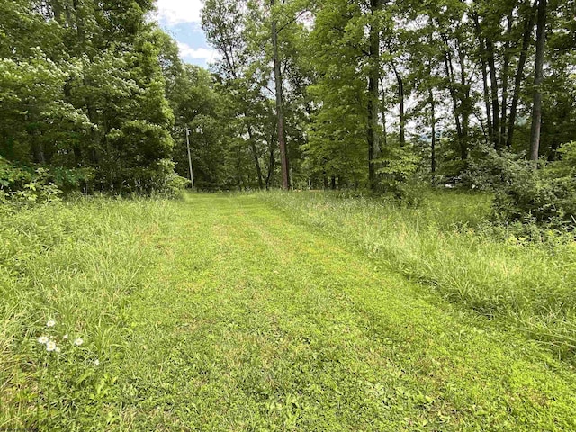 52 Ladder Dr, Mount Clare, WV 26408 - view of wooded area