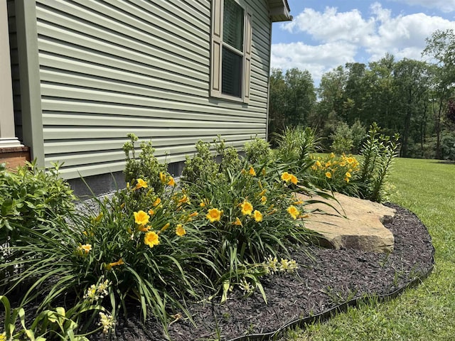 114 Snowy Ridge Rd, Terra Alta, WV 26764 - view of side of home featuring a lawn